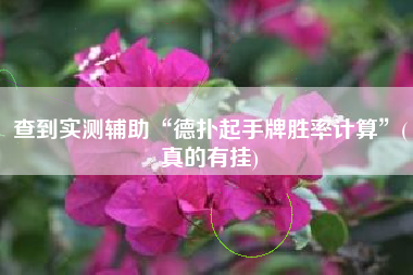 查到实测辅助“德扑起手牌胜率计算”(真的有挂)