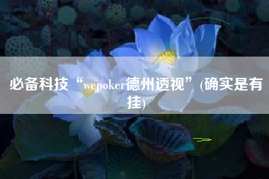 必备科技“wepoker德州透视	”(确实是有挂)