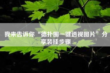 我来告诉你“德扑圈一键透视图片”分享装挂步骤