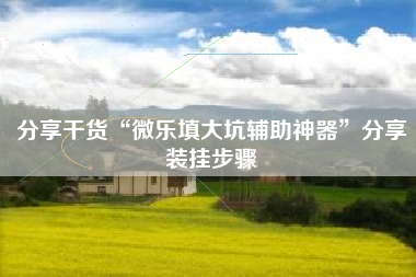 分享干货“微乐填大坑辅助神器”分享装挂步骤