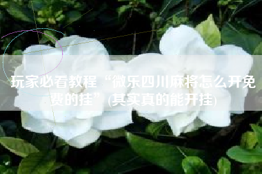 玩家必看教程“微乐四川麻将怎么开免费的挂”(其实真的能开挂)