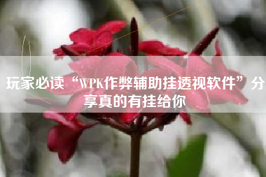 玩家必读“WPK作弊辅助挂透视软件”分享真的有挂给你