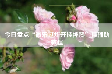 今日盘点“微乐过炸开挂神器”挂辅助教程