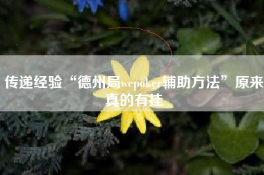 传递经验“德州局wepoker辅助方法”原来真的有挂