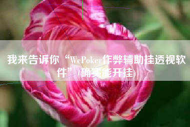 我来告诉你“WePoker作弊辅助挂透视软件”(确实能开挂)