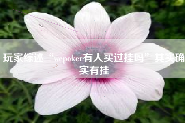 玩家综述“wepoker有人买过挂吗”其实确实有挂