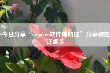 今日分享“wepoker软件辅助挂”分享装挂详细步