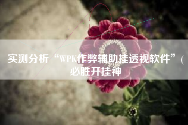 实测分析“WPK作弊辅助挂透视软件	”(必胜开挂神