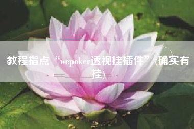 教程指点“wepoker透视挂插件”(确实有挂)