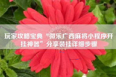 玩家攻略宝典“微乐广西麻将小程序开挂神器”分享装挂详细步骤