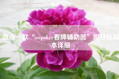 盘点一款“wepoker看牌辅助器”附开挂脚本详细