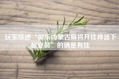 玩家综述“微乐内蒙古麻将开挂神器下载安装	”的确是有挂