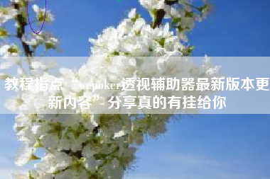 教程指点“wepoker透视辅助器最新版本更新内容	”分享真的有挂给你