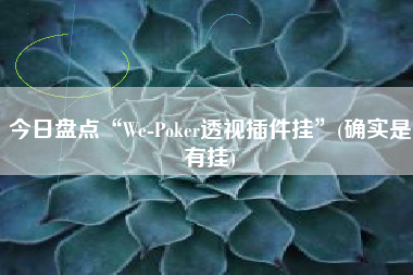 今日盘点“We-Poker透视插件挂”(确实是有挂)