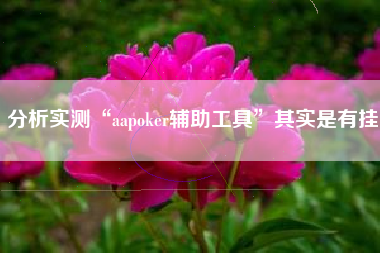分析实测“aapoker辅助工具”其实是有挂