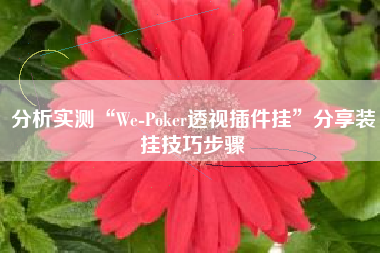 分析实测“We-Poker透视插件挂	”分享装挂技巧步骤