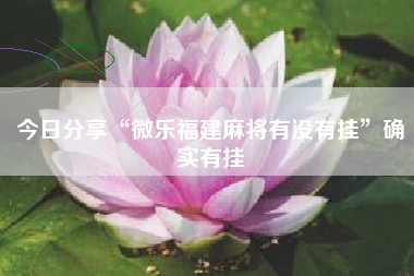 今日分享“微乐福建麻将有没有挂”确实有挂