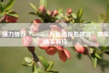 强力推荐“wepoker万能透视看牌器”其实确实有挂