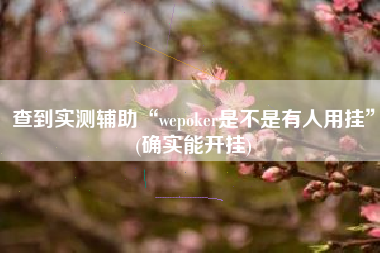 查到实测辅助“wepoker是不是有人用挂”(确实能开挂)