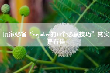 玩家必备“wepoker的10个必赢技巧”其实是有挂