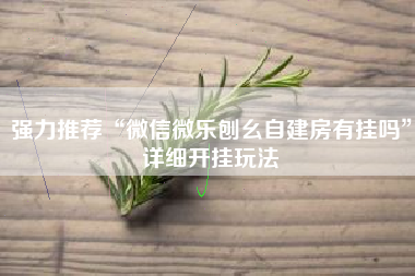 强力推荐“微信微乐刨幺自建房有挂吗”详细开挂玩法