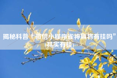 揭秘科普“微信小程序雀神麻将有挂吗”(其实有挂)