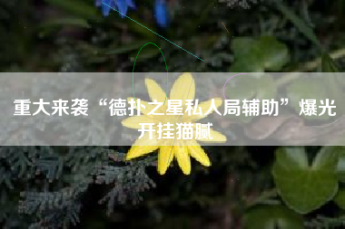 重大来袭“德扑之星私人局辅助”爆光开挂猫腻