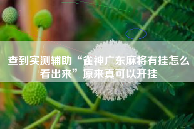 查到实测辅助“雀神广东麻将有挂怎么看出来”原来真可以开挂