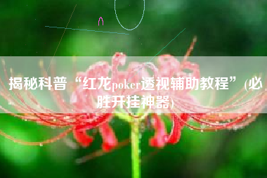 揭秘科普“红龙poker透视辅助教程”(必胜开挂神器)