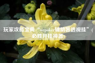玩家攻略宝典“wepoker辅助器透视挂”(必胜开挂神器)