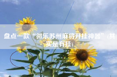 盘点一款“微乐苏州麻将开挂神器”(其实是有挂)