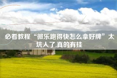 必看教程“微乐跑得快怎么拿好牌”太坑人了,真的有挂