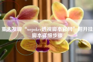 重大发现“wepoker透视脚本官网”附开挂脚本详细步骤