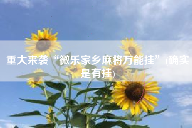 重大来袭“微乐家乡麻将万能挂	”(确实是有挂)