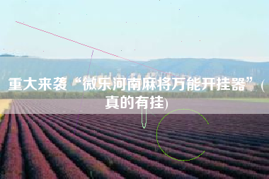 重大来袭“微乐河南麻将万能开挂器”(真的有挂)