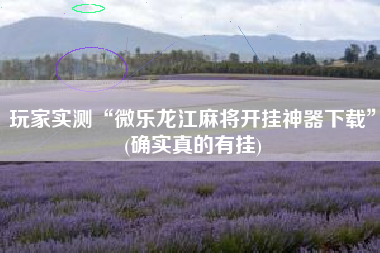 玩家实测“微乐龙江麻将开挂神器下载”(确实真的有挂)