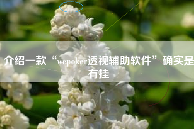 介绍一款“wepoker透视辅助软件”确实是有挂