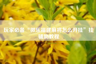 玩家必备“微乐福建麻将怎么开挂”挂辅助教程