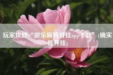 玩家攻略“微乐麻将开挂app下载”(确实能开挂)