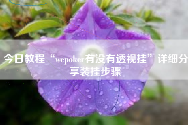 今日教程“wepoker有没有透视挂”详细分享装挂步骤