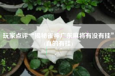 玩家点评“揭秘雀神广东麻将有没有挂”(真的有挂)