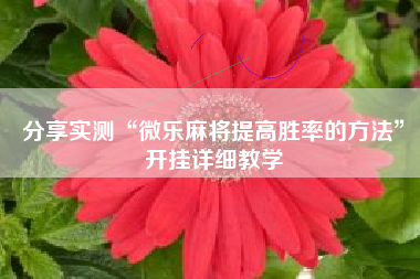 分享实测“微乐麻将提高胜率的方法”开挂详细教学