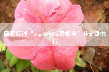 玩家综述“wepokerplus透视挂”挂辅助教程