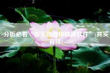 分析必看“微乐跑得快透视软件”(其实有挂)