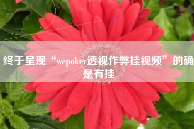 终于呈现“wepoker透视作弊挂视频	”的确是有挂