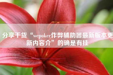 分享干货“wepoker作弊辅助器最新版本更新内容介	”的确是有挂