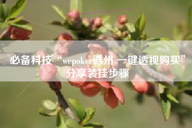 必备科技“wepoker德州 一键透视购买	”分享装挂步骤