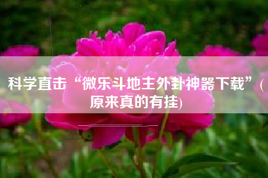 科学直击“微乐斗地主外卦神器下载”(原来真的有挂)