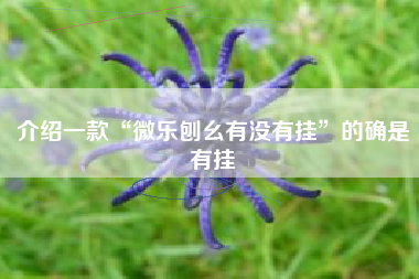介绍一款“微乐刨幺有没有挂	”的确是有挂