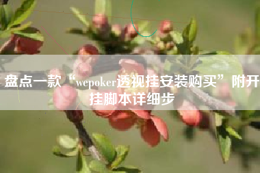 盘点一款“wepoker透视挂安装购买	”附开挂脚本详细步